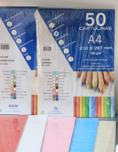 Cartulinas Material Papeleria L'Ombú